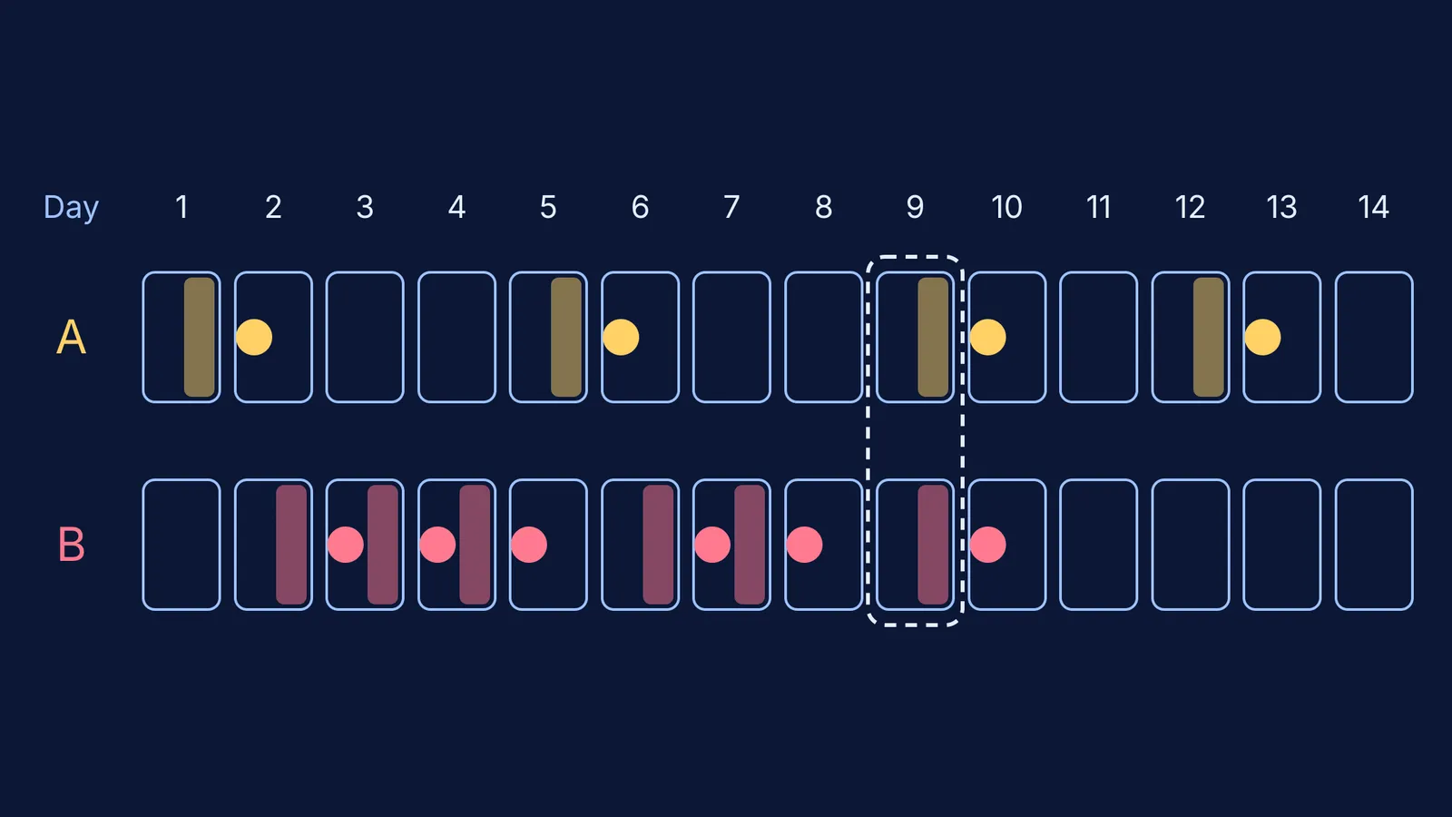 Two-row fortnight calendar showing each sibling's exam days and priority evenings