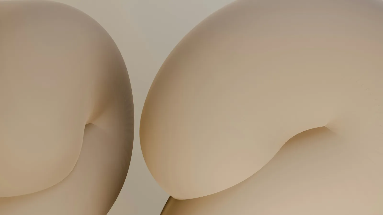 Two smooth curved shapes mirroring each other