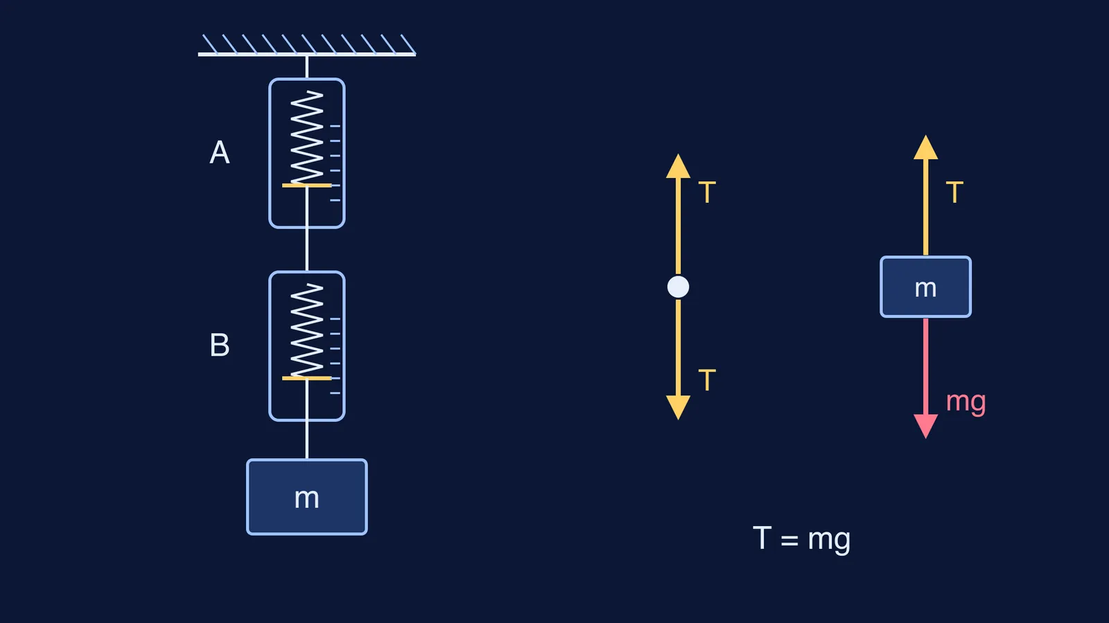 Two spring balances in series holding a block, with equal force arrows