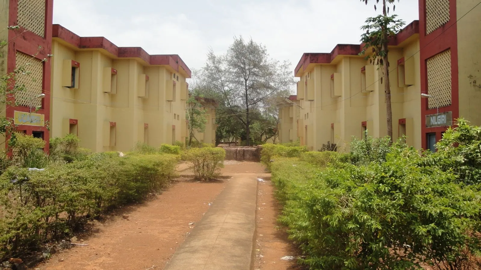 Two-storey hostel blocks along a garden path at a Jawahar Navodaya Vidyalaya