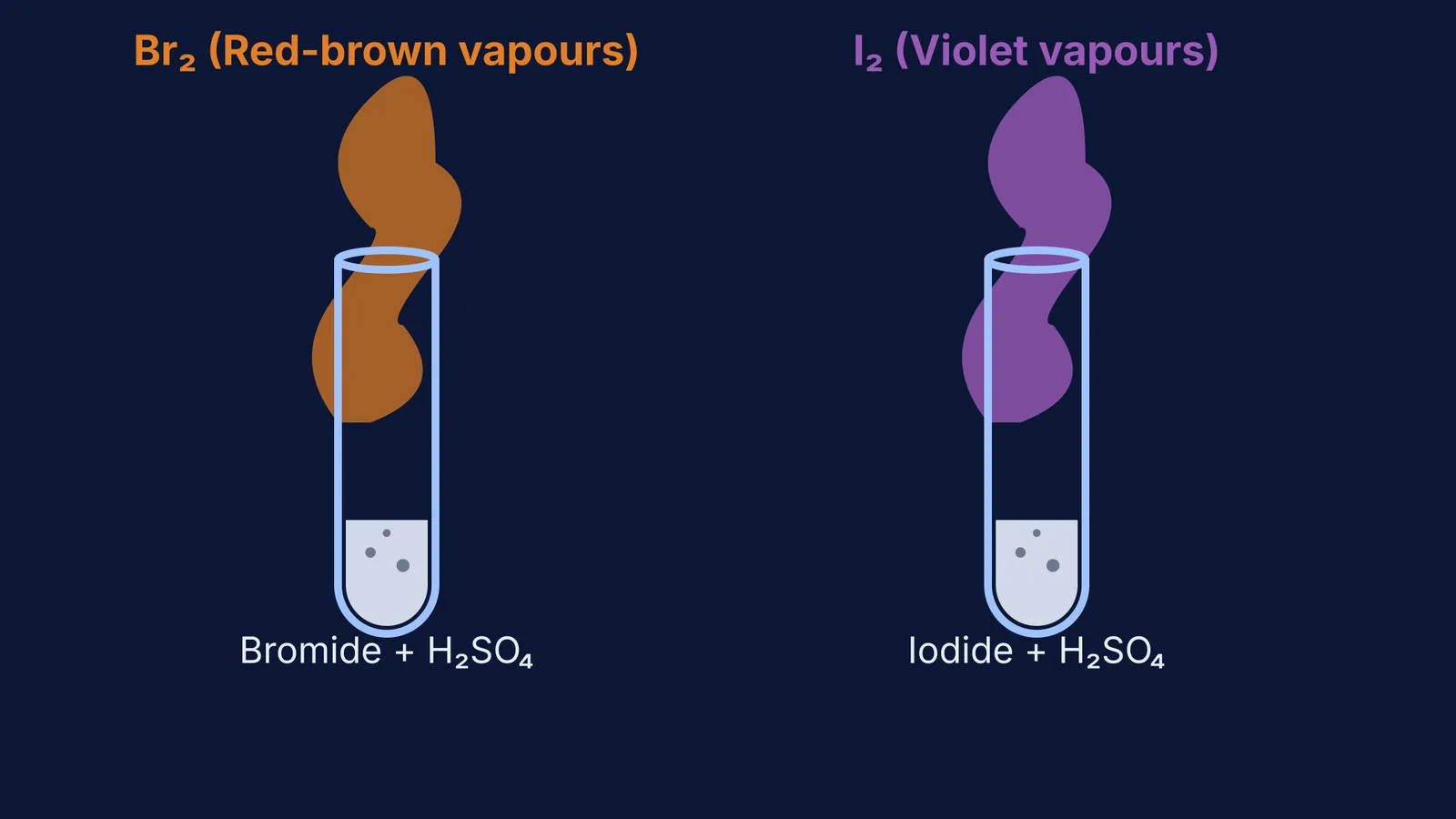 Two test tubes showing bromine and iodine vapours from sulphuric acid