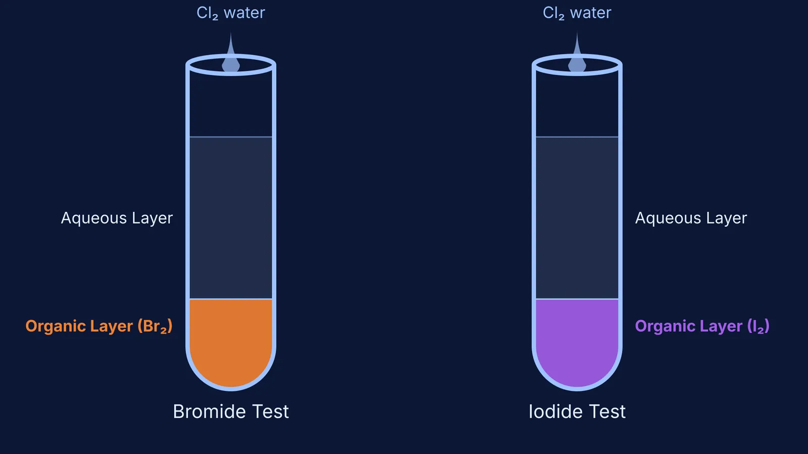 Two test tubes showing the distinct orange bromine and violet iodine layers.