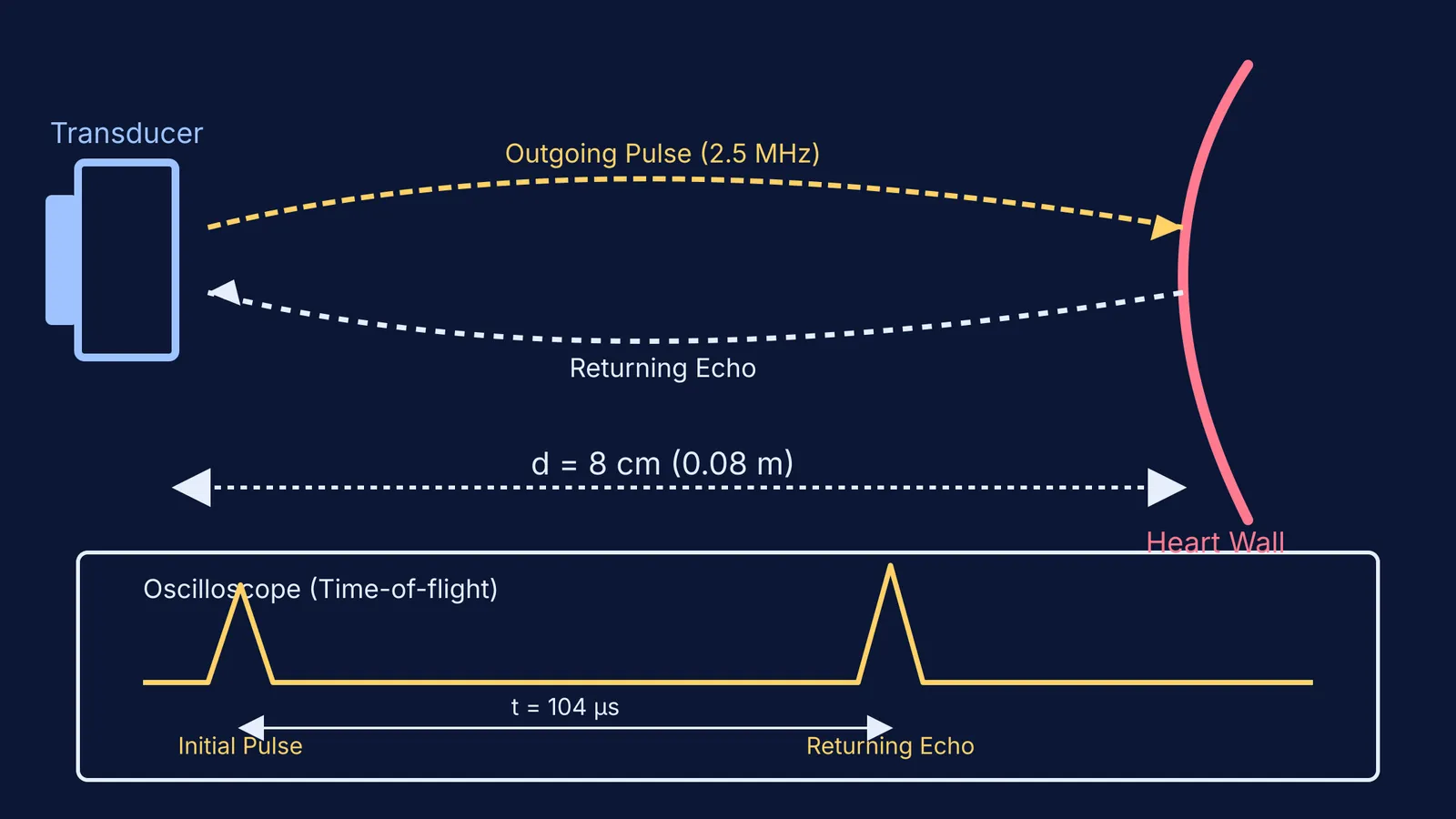 Ultrasound transducer mapping a heart wall 8 cm away with an oscilloscope trace.