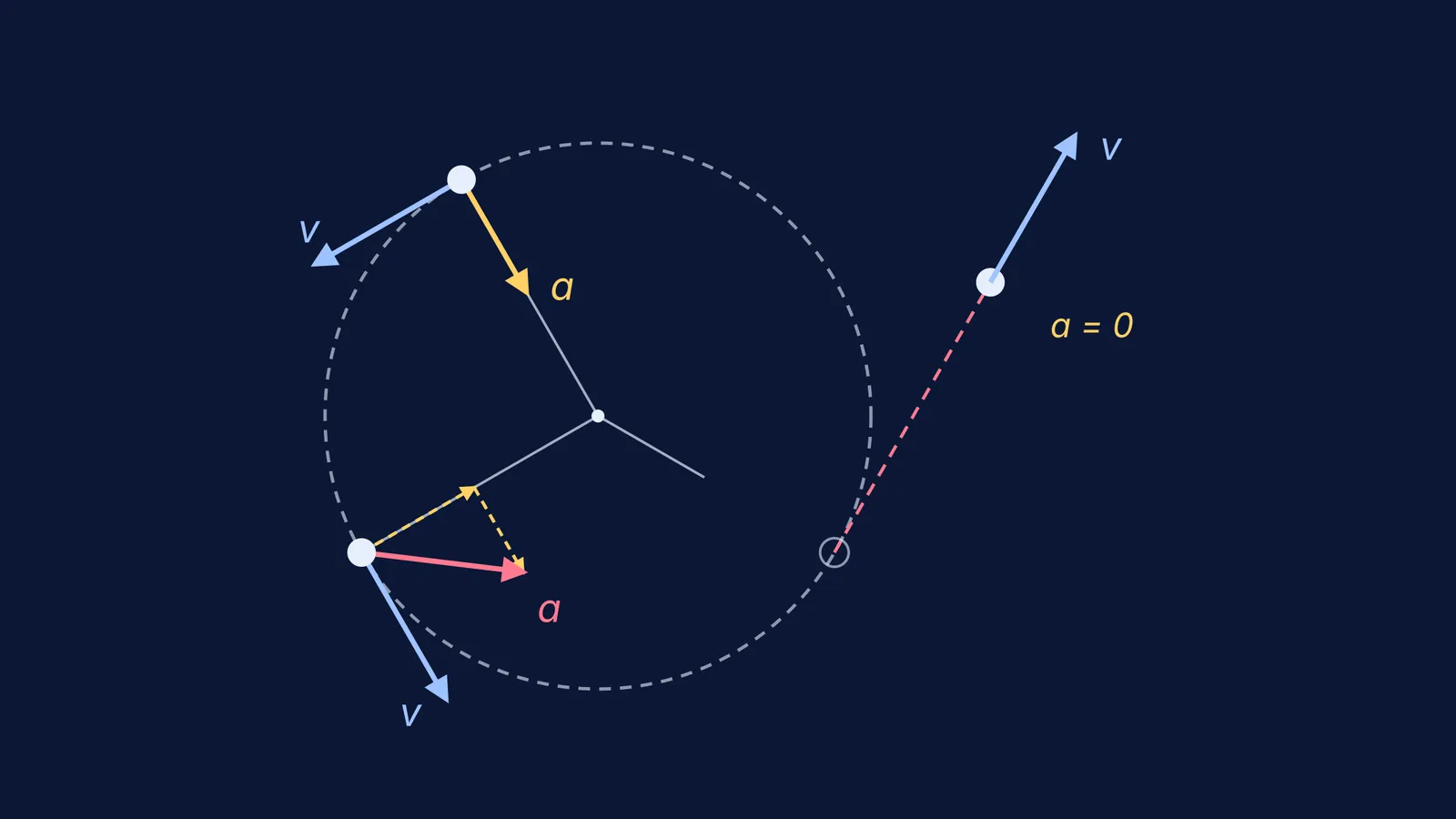 Velocity and acceleration arrows on a circle: constant speed, speeding up, string cut