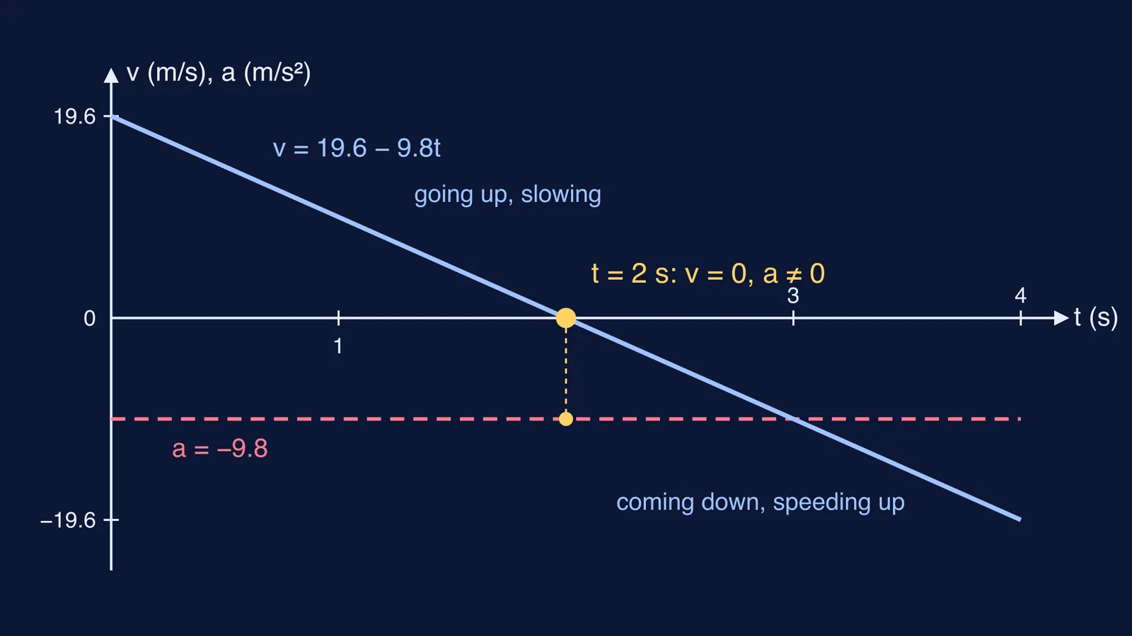 Velocity-time graph of a ball thrown upward, crossing zero while acceleration stays constant