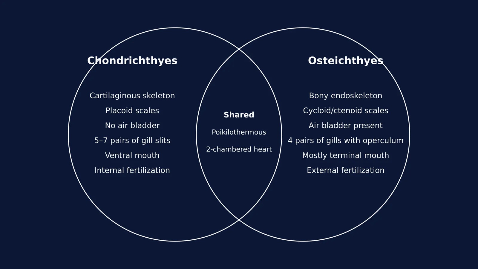 Venn diagram comparing cartilaginous and bony fish traits.