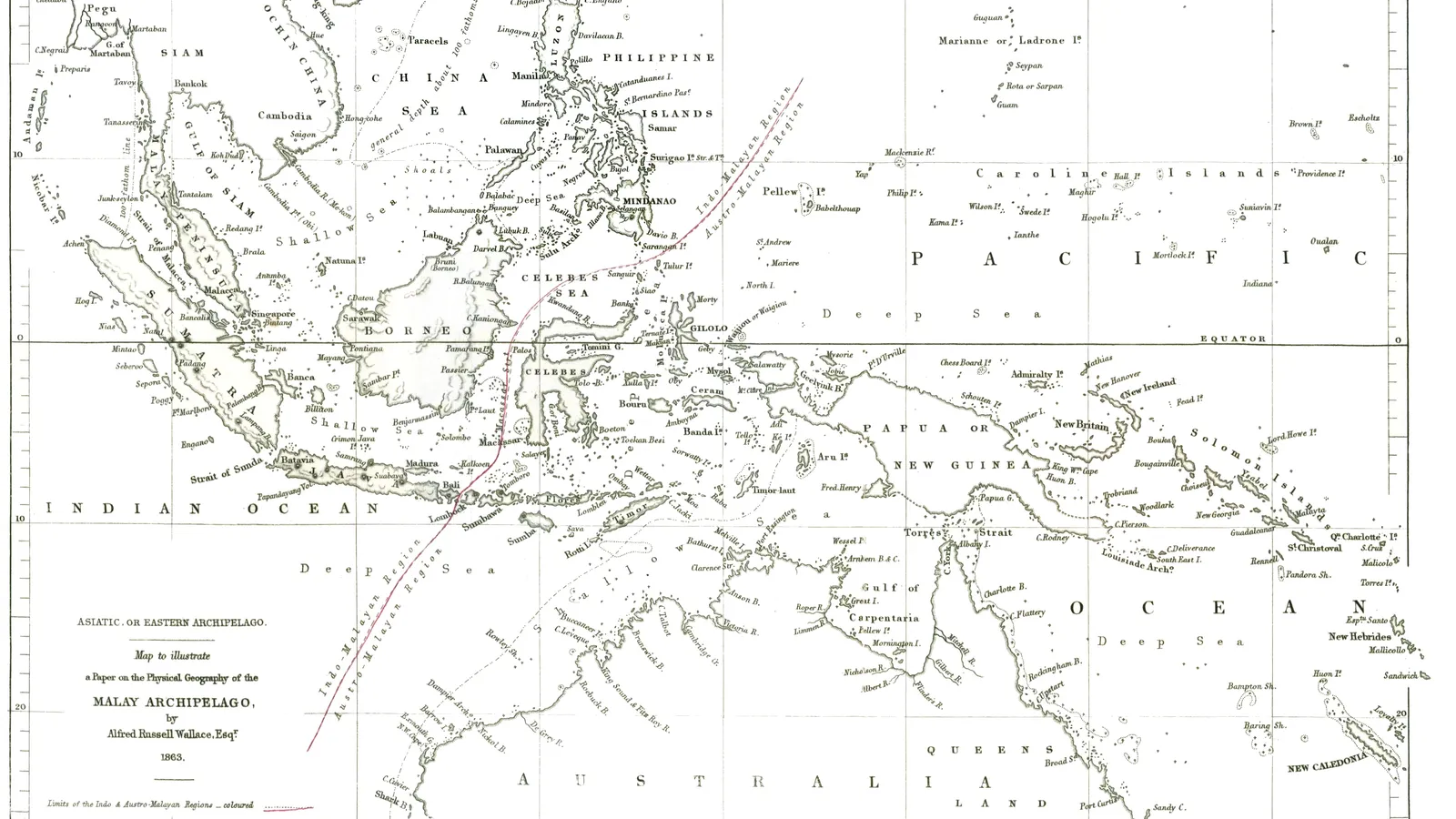 Wallace's 1863 map of the Malay Archipelago with his dividing line in red