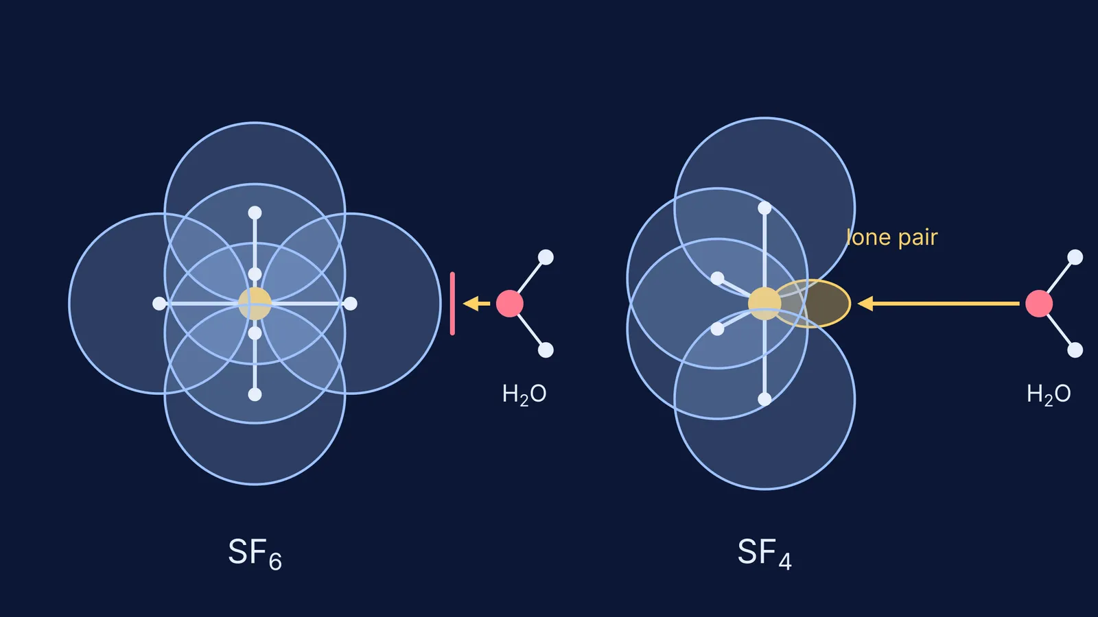 Water blocked by fluorine shells around SF6 but reaching SF4's lone-pair side