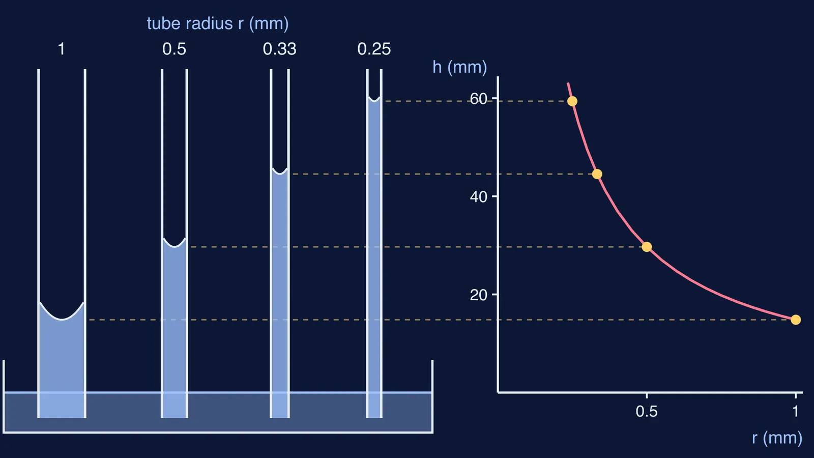 Water rising higher in thinner glass tubes, with height plotted against radius