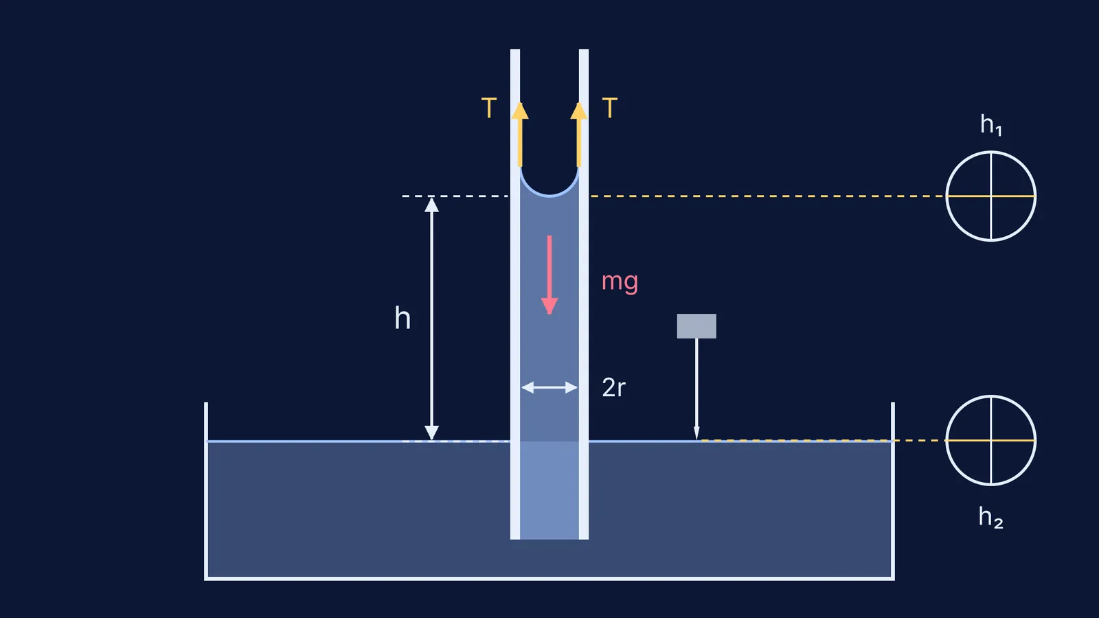 Water rising in a capillary tube, with height h, bore 2r and microscope crosswires