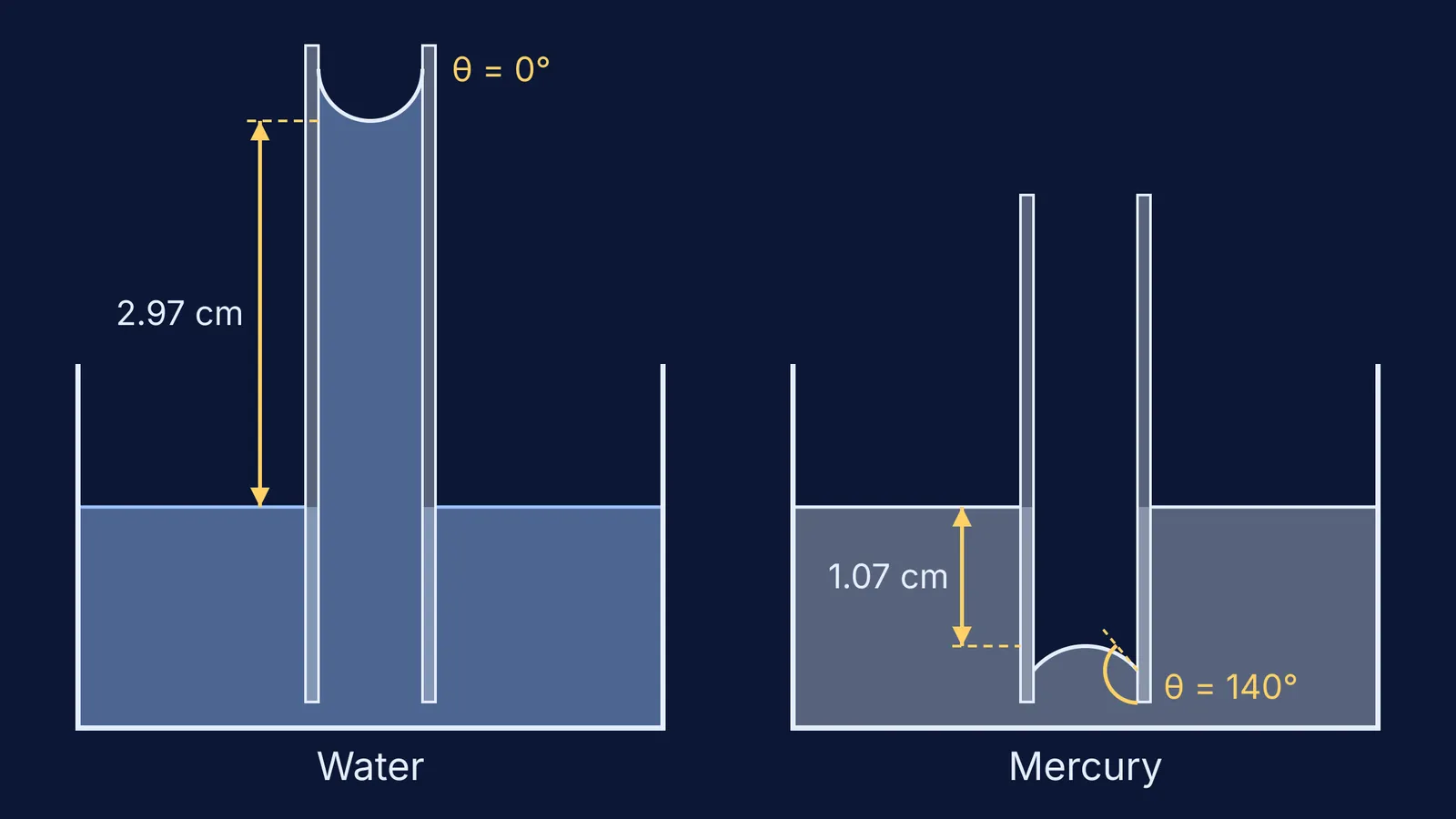 Water rising with a concave meniscus, mercury sinking with a convex meniscus, in glass tubes