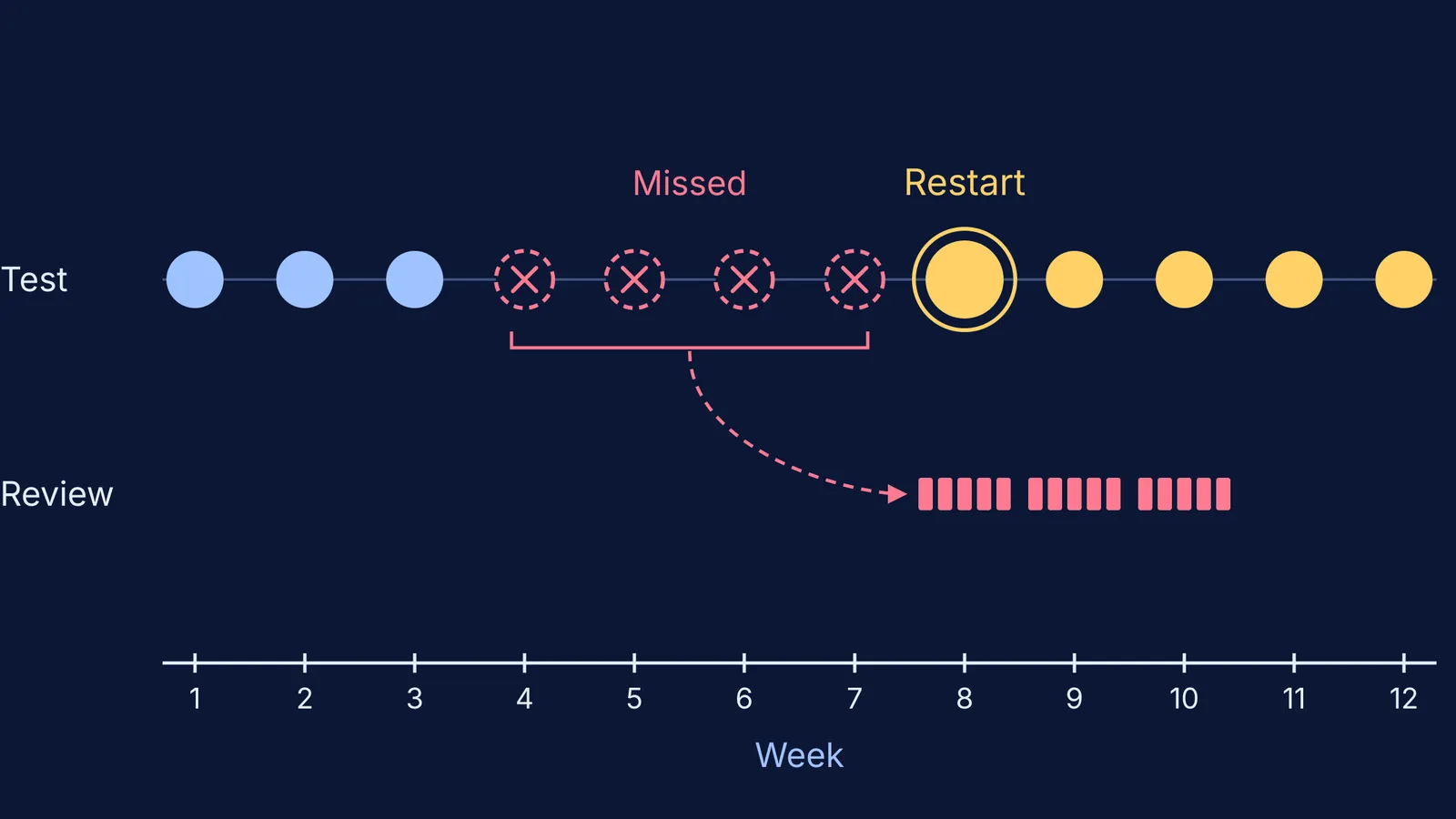 Weekly test timeline: four missed tests, restart at week 8, review slots after