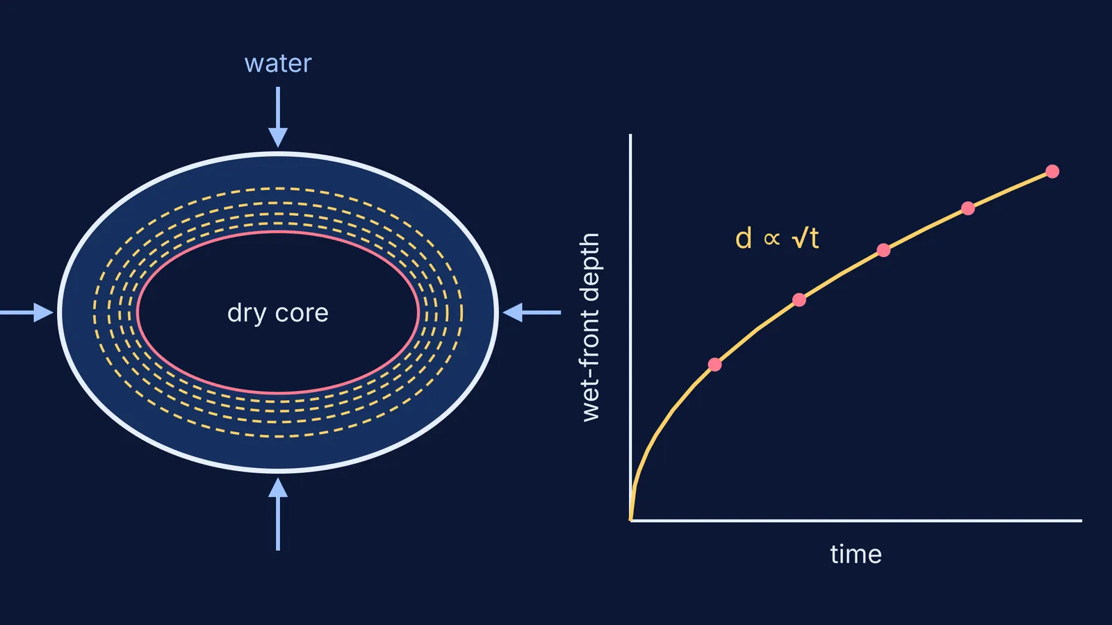 Wet front moving into a dry seed, depth growing as square root of time