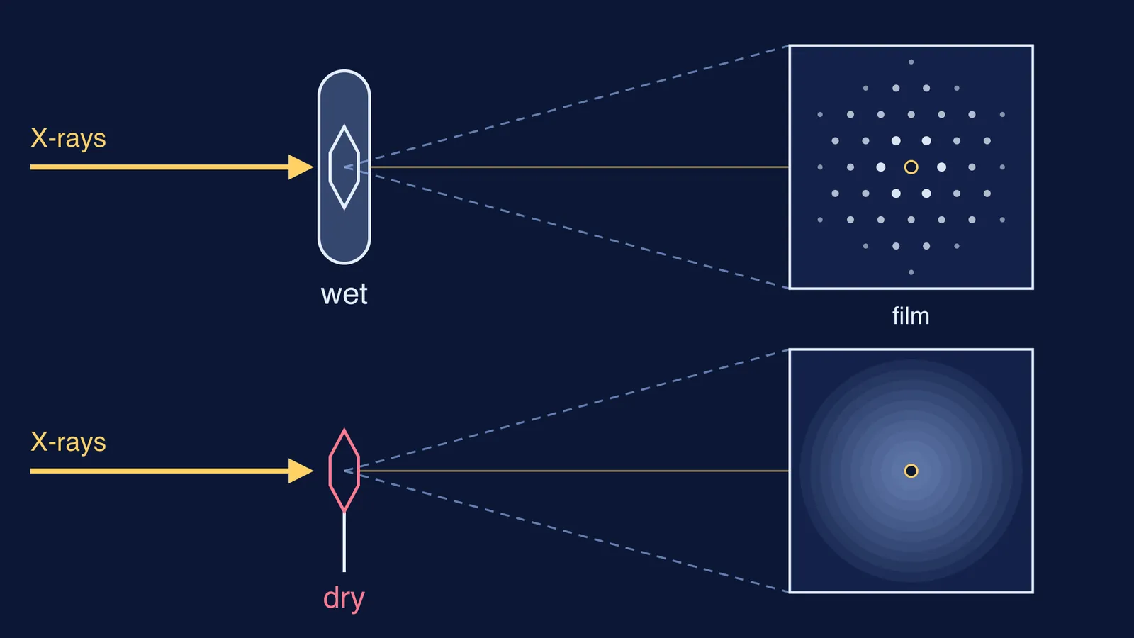 Wet protein crystal gives sharp X-ray spots; dried crystal gives a blur