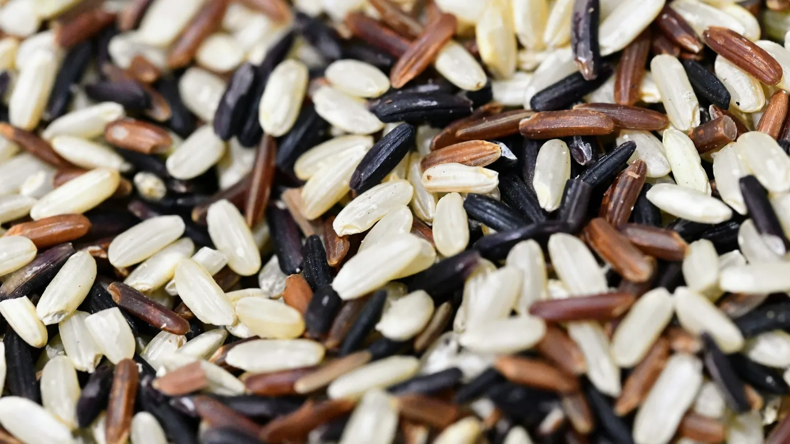 White and dark unpolished rice grains mixed together