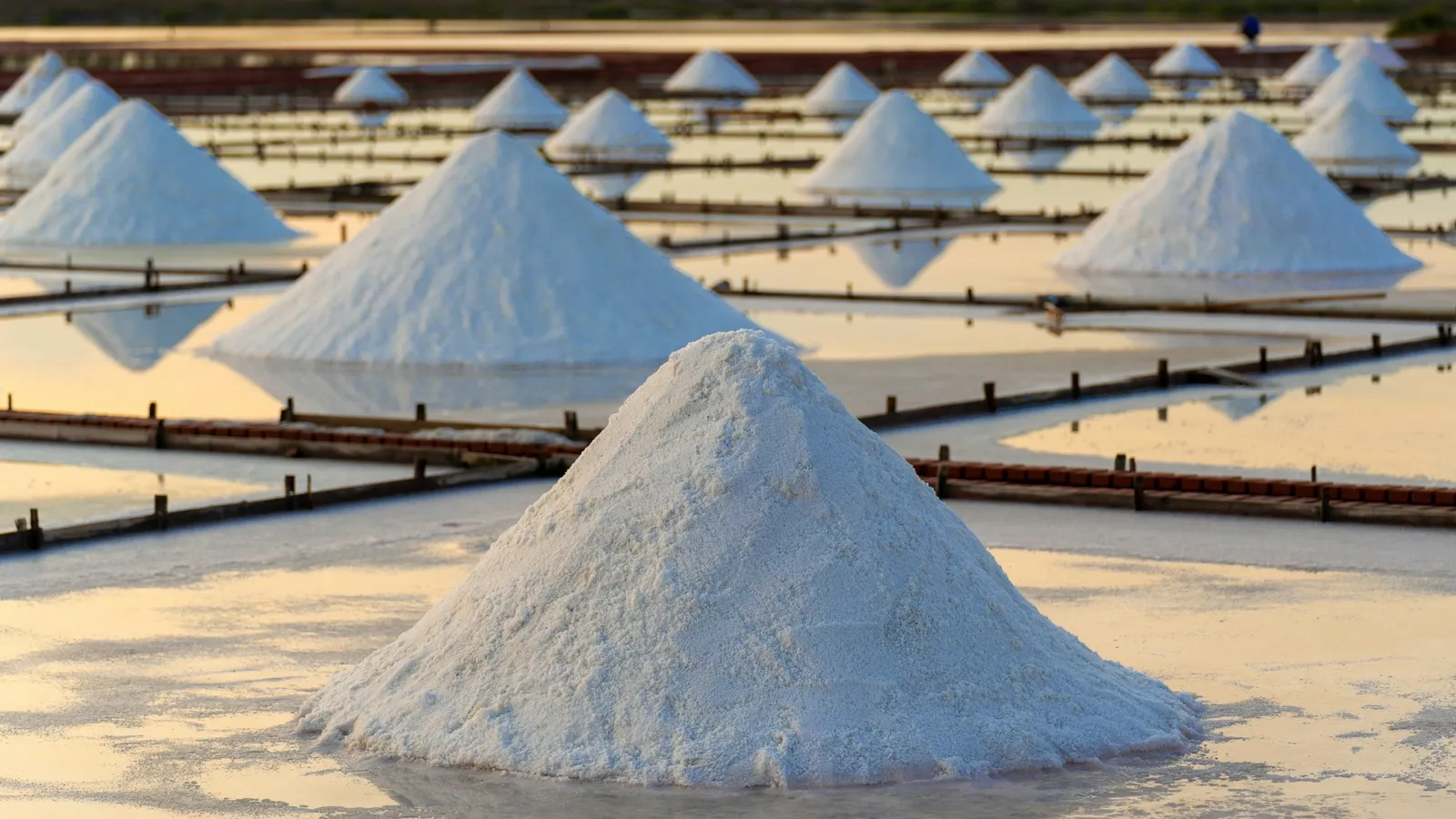 White salt heaped in salt pans