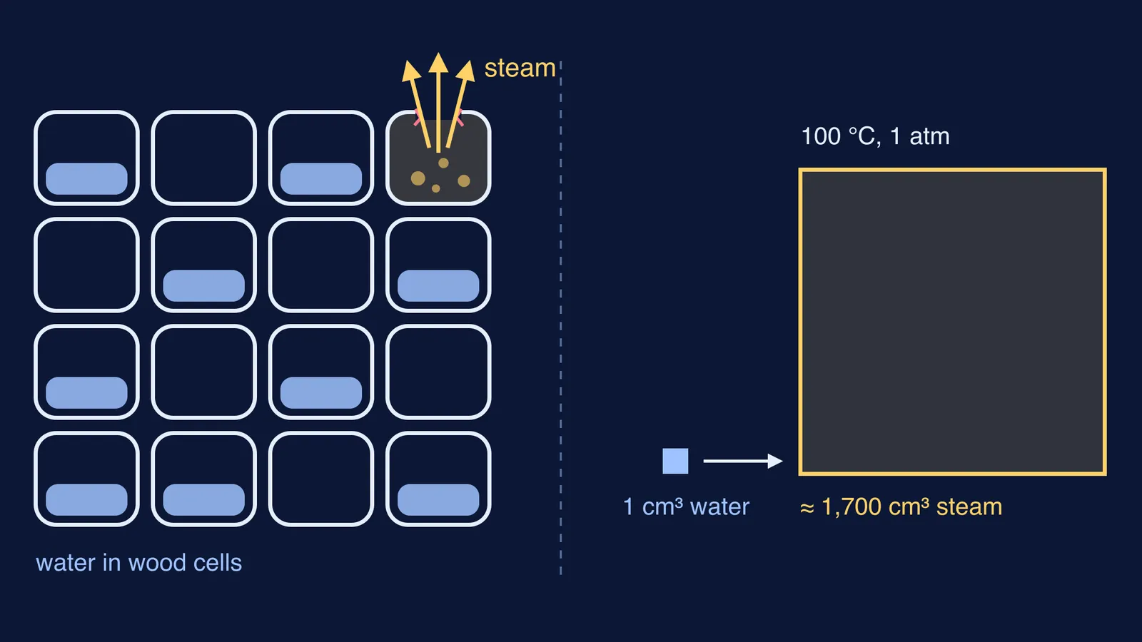 Wood cells holding water, one bursting with steam, beside a water-to-steam volume comparison